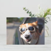 Kutest Baby Animals | Corgi Goggles in de auto Bedankkaart (Staand voorkant)