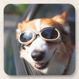 Kutest Baby Animals   Corgi Goggles in de auto Bier Onderzetter