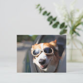 Kutest Baby Animals | Corgi Goggles in de auto Briefkaart (Staand voorkant)