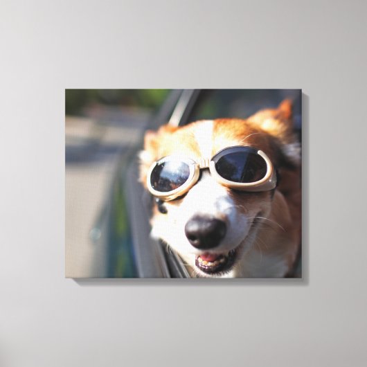 Kutest Baby Animals | Corgi Goggles in de auto Canvas Afdruk (Voorkant)