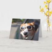 Kutest Baby Animals | Corgi Goggles in de auto Kaart (Gele Bloem)