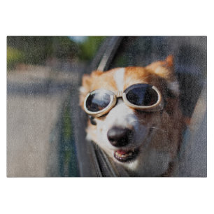 Kutest Baby Animals Corgi Goggles in de auto Snijplank