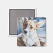 Kutest Baby Animals | Corgi Head Tilt Magneet (Voorkant / Achterkant)