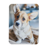 Kutest Baby Animals | Corgi Head Tilt Magneet (Verticaal)