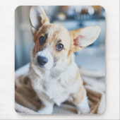 Kutest Baby Animals | Corgi Head Tilt Muismat (Voorkant)
