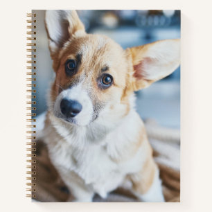 Kutest Baby Animals   Corgi Head Tilt Notitieboek