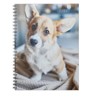 Kutest Baby Animals Corgi Head Tilt Notitieboek