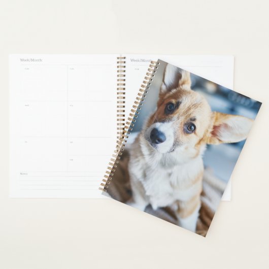 Kutest Baby Animals | Corgi Head Tilt Planner (Display)