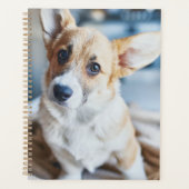 Kutest Baby Animals | Corgi Head Tilt Planner (Voorkant)