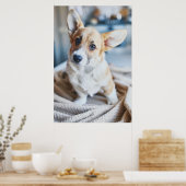 Kutest Baby Animals | Corgi Head Tilt Poster (Keuken)