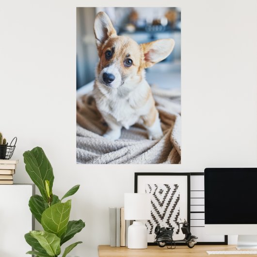 Kutest Baby Animals | Corgi Head Tilt Poster (Thuiskantoor)