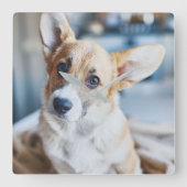 Kutest Baby Animals | Corgi Head Tilt Vierkante Klok (Voorkant)
