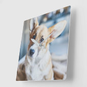 Kutest Baby Animals | Corgi Head Tilt Vierkante Klok (Hoek)