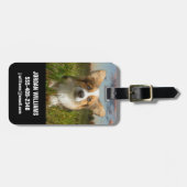 Kutest Baby Animals | Corgi in Cloudy Yard Bagagelabel (Voorkant horizontaal)