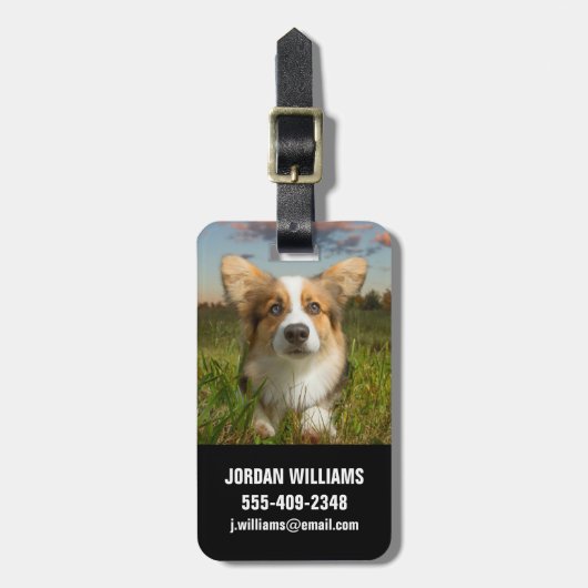 Kutest Baby Animals | Corgi in Cloudy Yard Bagagelabel (Voorkant verticaal)