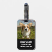 Kutest Baby Animals | Corgi in Cloudy Yard Bagagelabel (Achterkant verticaal)