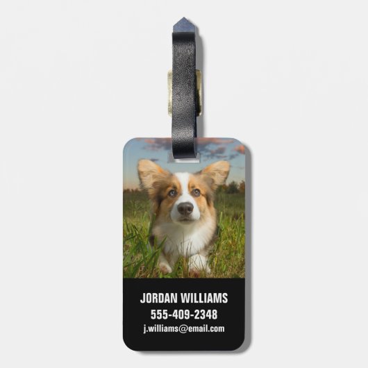 Kutest Baby Animals | Corgi in Cloudy Yard Bagagelabel (Achterkant verticaal)