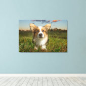Kutest Baby Animals | Corgi in Cloudy Yard Canvas Afdruk (Insitu (Houten vloer))