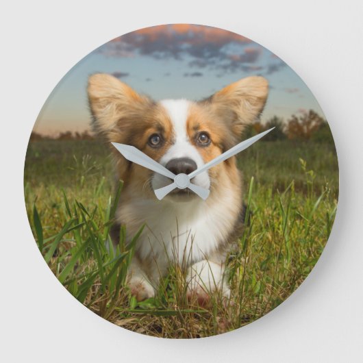 Kutest Baby Animals | Corgi in Cloudy Yard Grote Klok (Voorkant)