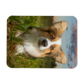 Kutest Baby Animals | Corgi in Cloudy Yard Magneet (Horizontaal)