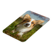 Kutest Baby Animals | Corgi in Cloudy Yard Magneet (Linkerzijde)