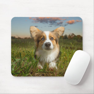 Kutest Baby Animals Corgi in Cloudy Yard Muismat