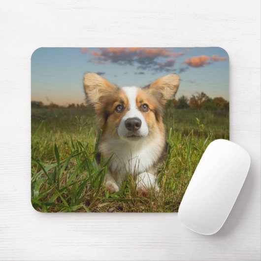Kutest Baby Animals | Corgi in Cloudy Yard Muismat (Met muis)