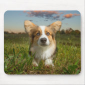Kutest Baby Animals | Corgi in Cloudy Yard Muismat (Voorkant)
