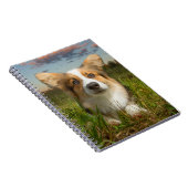 Kutest Baby Animals | Corgi in Cloudy Yard Notitieboek (Rechterzijde)
