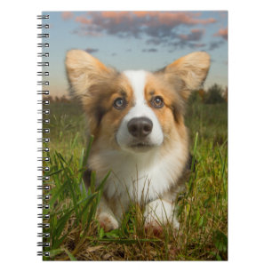 Kutest Baby Animals   Corgi in Cloudy Yard Notitieboek
