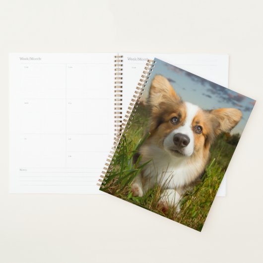 Kutest Baby Animals | Corgi in Cloudy Yard Planner (Display)