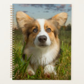 Kutest Baby Animals | Corgi in Cloudy Yard Planner (Voorkant)