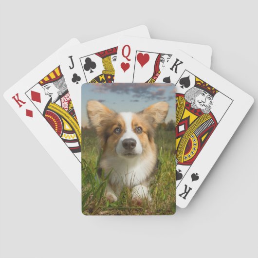 Kutest Baby Animals | Corgi in Cloudy Yard Pokerkaarten (Achterkant)