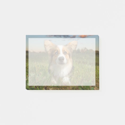 Kutest Baby Animals | Corgi in Cloudy Yard Post-it® Notes (Voorkant)