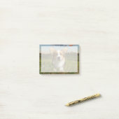 Kutest Baby Animals | Corgi in Cloudy Yard Post-it® Notes (Op bureau)