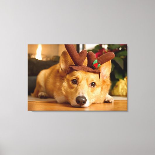 Kutest Baby Animals | Corgi-kerstrenrenrendiertje Canvas Afdruk (Voorkant)