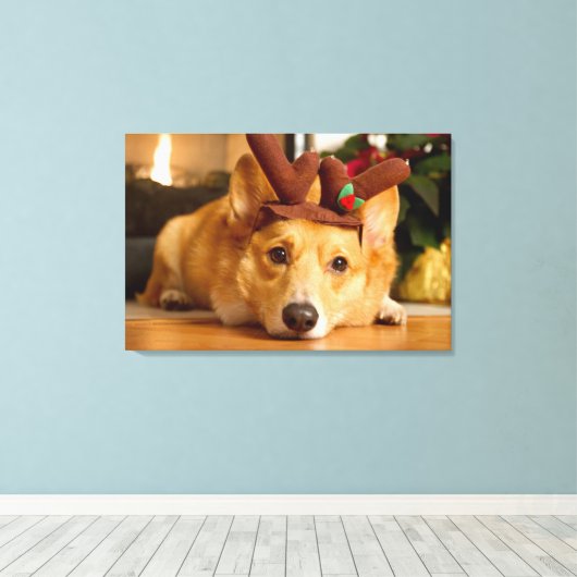 Kutest Baby Animals | Corgi-kerstrenrenrendiertje Canvas Afdruk (Insitu (Houten vloer))