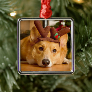 Kutest Baby Animals   Corgi-kerstrenrenrendiertje Metalen Ornament
