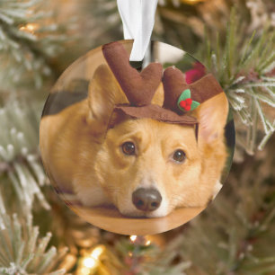 Kutest Baby Animals Corgi-kerstrenrenrendiertje Ornament