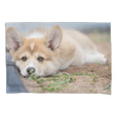 Kutest Baby Animals | Corgi Laying in the Yard Kussensloop (Voorkant)