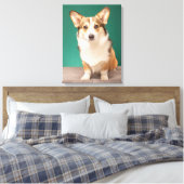 Kutest Baby Animals | Corgi over Blauwgroen Canvas Afdruk (Insitu (Slaapkamer))