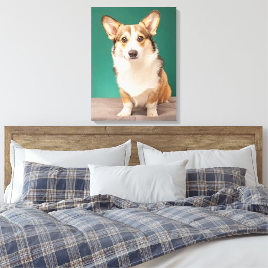 Kutest Baby Animals | Corgi over Blauwgroen Canvas Afdruk (Insitu (Slaapkamer))