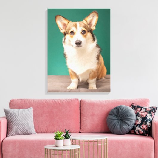 Kutest Baby Animals | Corgi over Blauwgroen Canvas Afdruk (Insitu (Woonkamer))