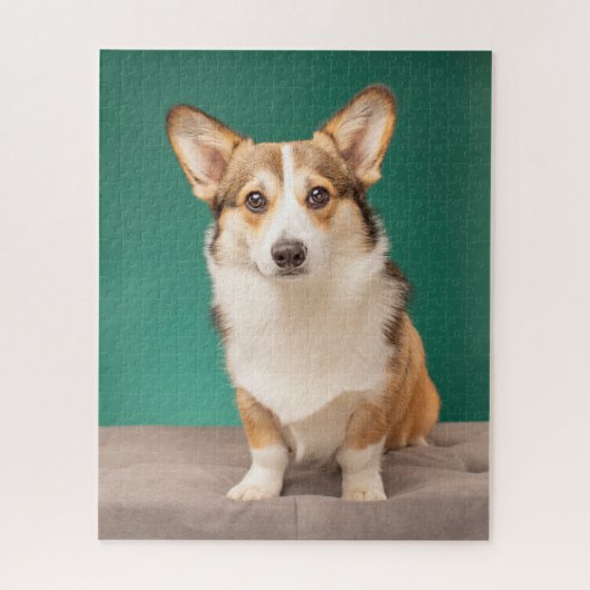 Kutest Baby Animals | Corgi over Blauwgroen Legpuzzel (Verticaal)