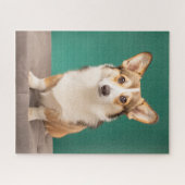 Kutest Baby Animals | Corgi over Blauwgroen Legpuzzel (Horizontaal)