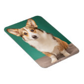 Kutest Baby Animals | Corgi over Blauwgroen Magneet (Rechterzijde)