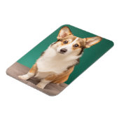 Kutest Baby Animals | Corgi over Blauwgroen Magneet (Linkerzijde)