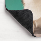 Kutest Baby Animals | Corgi over Blauwgroen Muismat (Hoek)