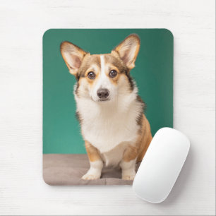 Kutest Baby Animals   Corgi over Blauwgroen Muismat