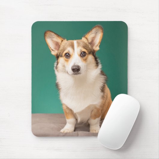 Kutest Baby Animals | Corgi over Blauwgroen Muismat (Met muis)